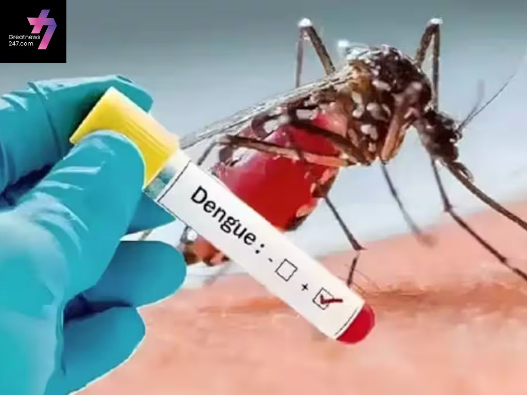 “Take Action Now to Prevent Dengue Outbreaks in Karnataka”